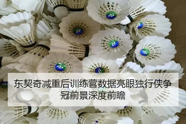 东契奇减重后训练营数据亮眼独行侠争冠前景深度前瞻